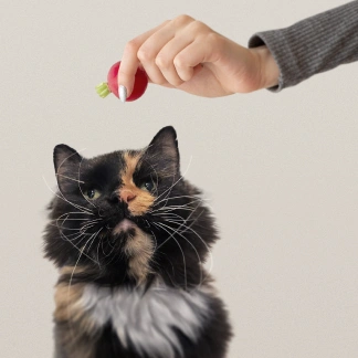 Rubi with radish
